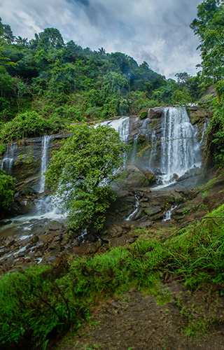 Punnayar Waterfalls: Thrissur’s Hidden Cascades