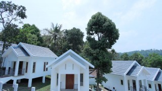 Bambusa Cottages