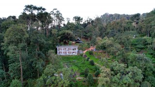 Click here to view the details of Forestscape Munnar