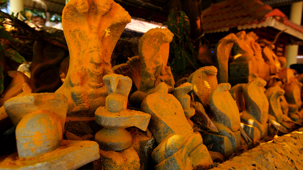 Serpent Idols at Sree Peralassery Temple