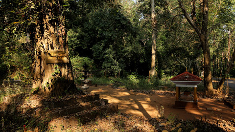 Chembukavu Bhagavathy temple