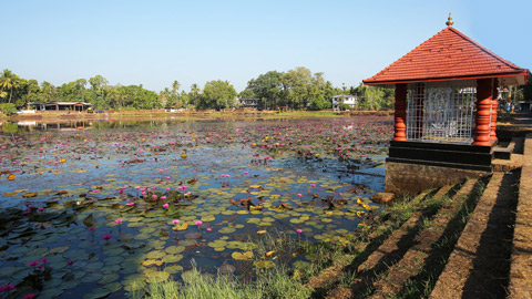 Visual of Chirakkal Chira