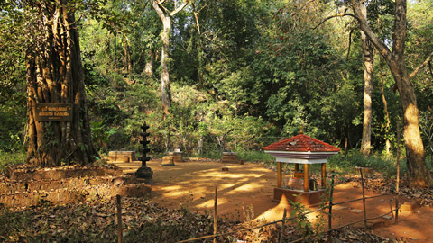 Chembukavu Bhagvathy Temple