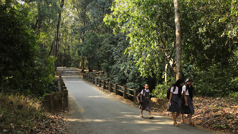 Peruva Bridge