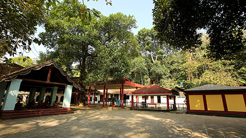 Valliyoorkkavu Temple