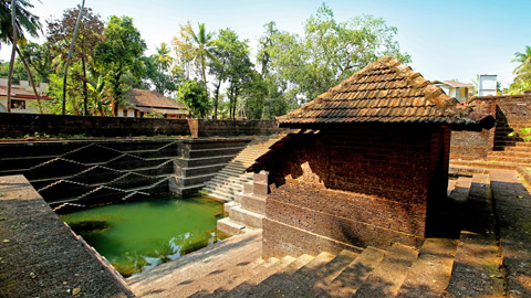 Temple pond of Sree Oorpazhachi Kavu Temple