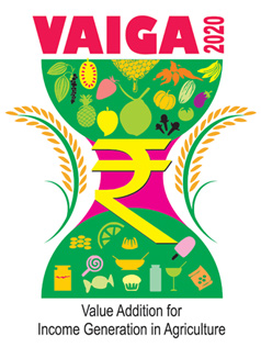 vaiga logo