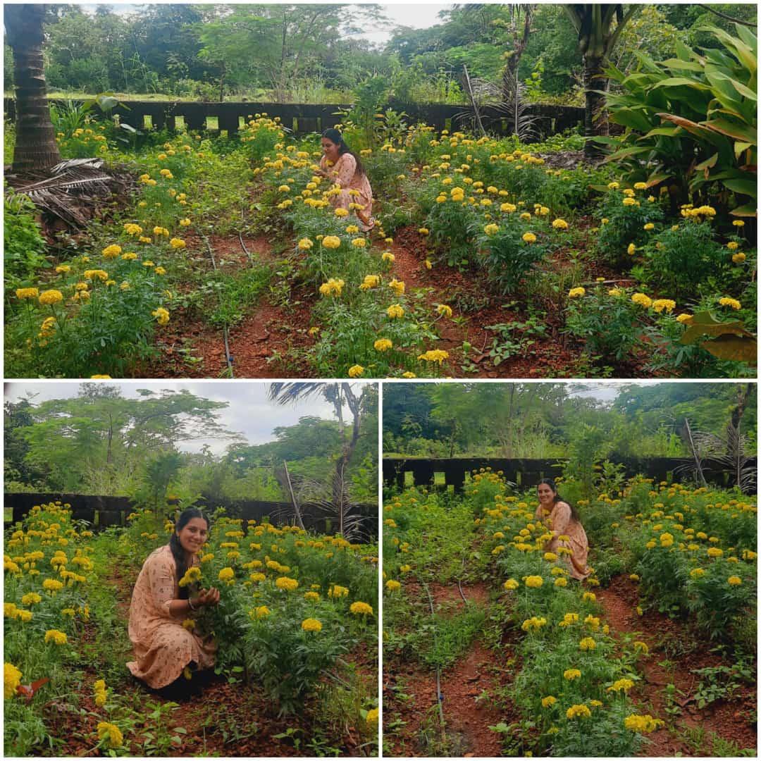 Poonghavanam Agri Farm