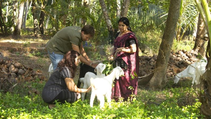 बकरी कृषिक्षेत्र