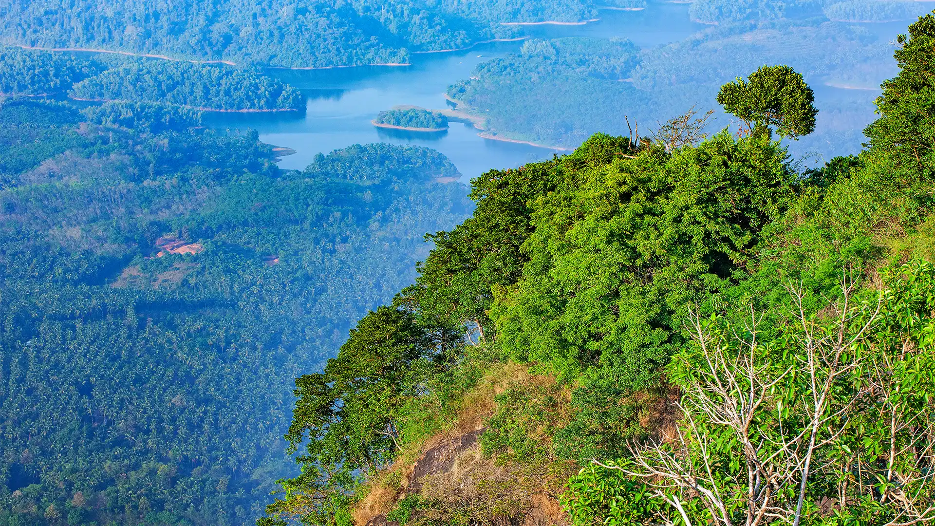 കോഴിക്കോട്