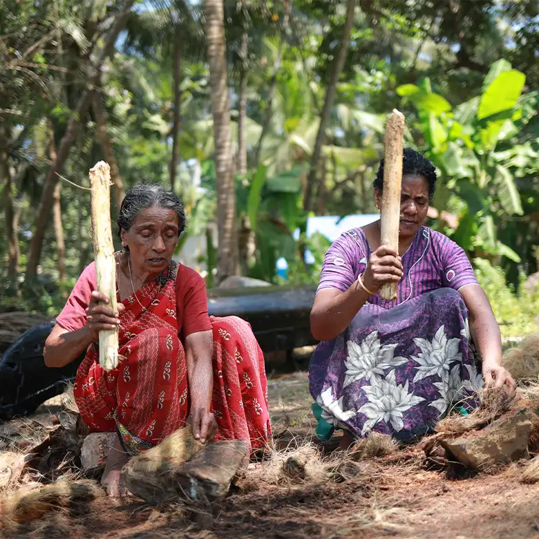 கோழிக்கோடு