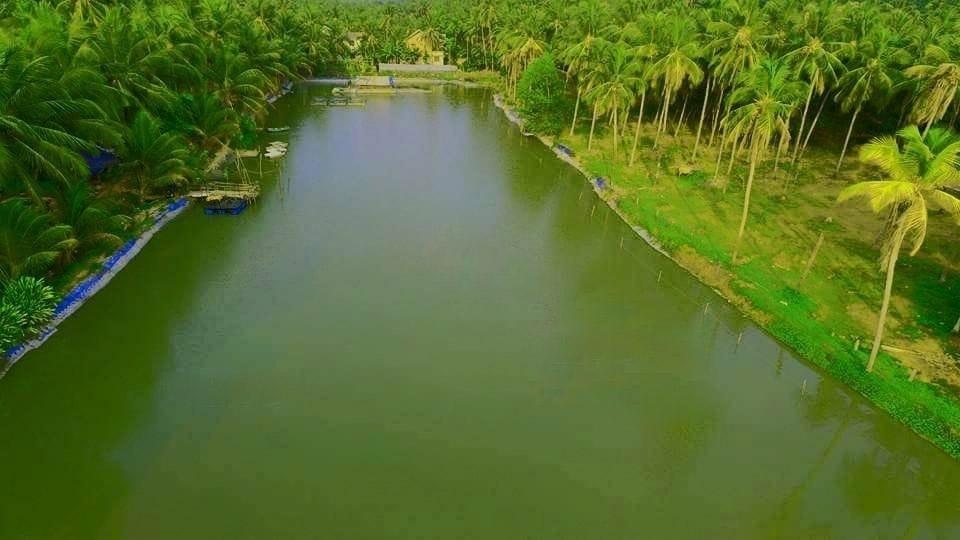 Chemmala Fish Farm | Kerala Agri Tourism Network | Responsible Tourism ...