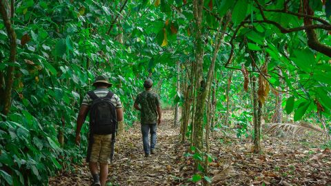 Spice Garden Visit is organized for tourists at Munnar and Thekkady.